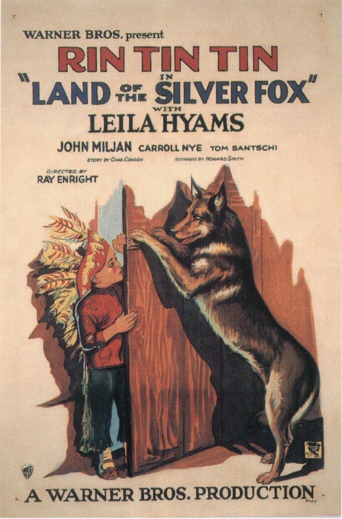 Land of the Silver Fox海报