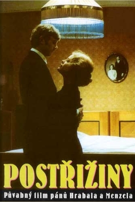 金黄色的回忆 (1980年 捷克斯洛伐克 电影)