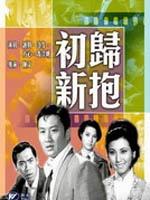 初归新抱海报