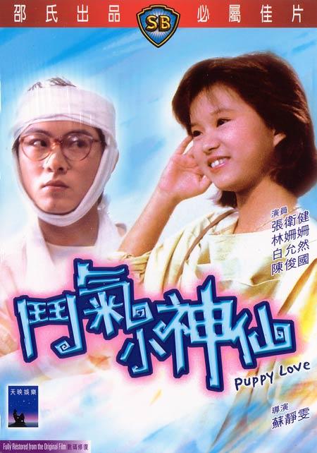 斗气小神仙海报