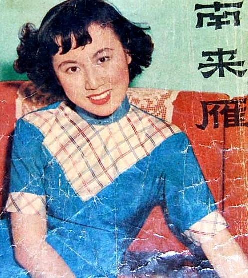 南来雁海报