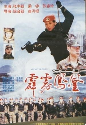 霹雳凤凰海报