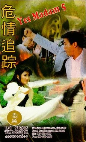 危情追踪海报