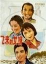 飞来的女婿海报