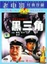 黑三角海报