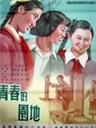 青春的园地海报
