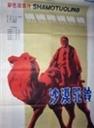 沙漠驼铃海报