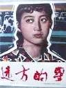 远方的星海报