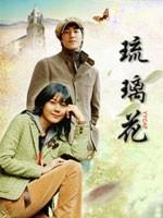 玻璃花海报