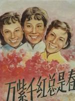 万紫千红总是春海报