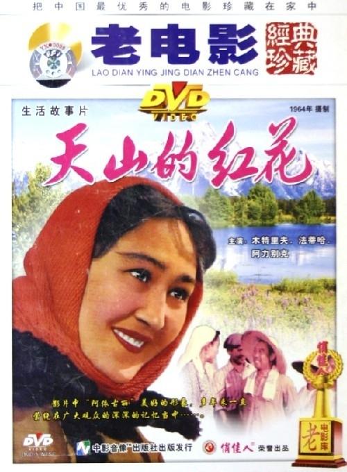天山的红花海报