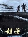 姐姐海报