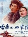 哈森与加米拉海报