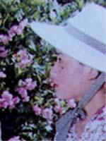 春晖海报