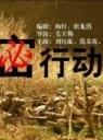 绝密行动