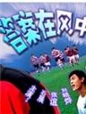 答案在风中海报