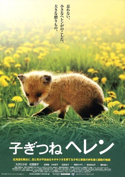 生命奇迹小狐狸海报