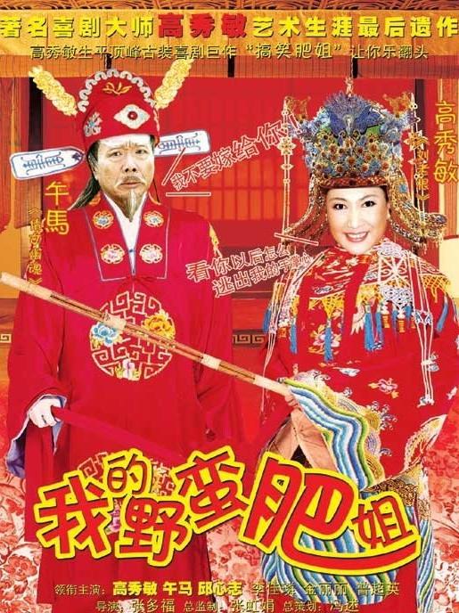 我的野蛮肥姐海报