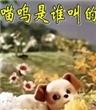 喵呜是谁叫的海报