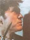 玫瑰的梦海报