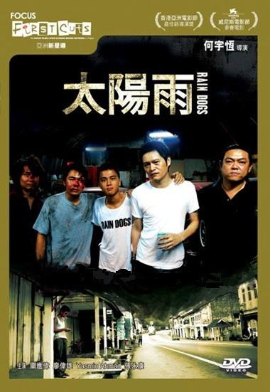太阳雨海报