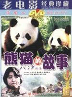 熊猫的故事海报