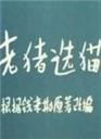 老猪选猫海报