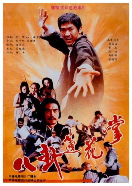 八卦莲花掌海报