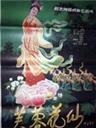 芙蓉花仙海报
