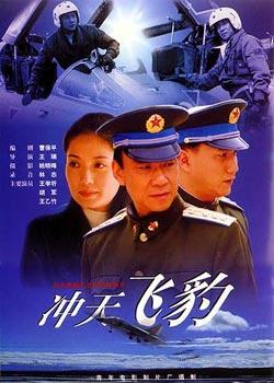 冲天飞豹海报
