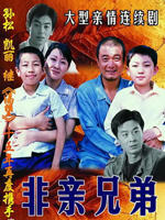 非亲兄弟海报