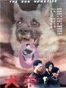 犬杀海报