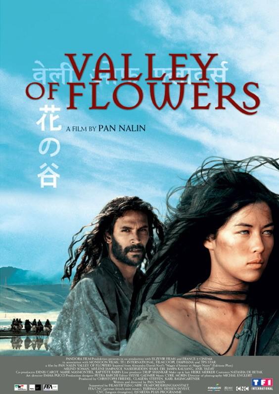 鲜花山谷海报