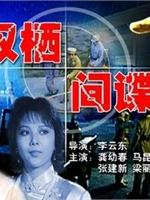 双栖间谍海报