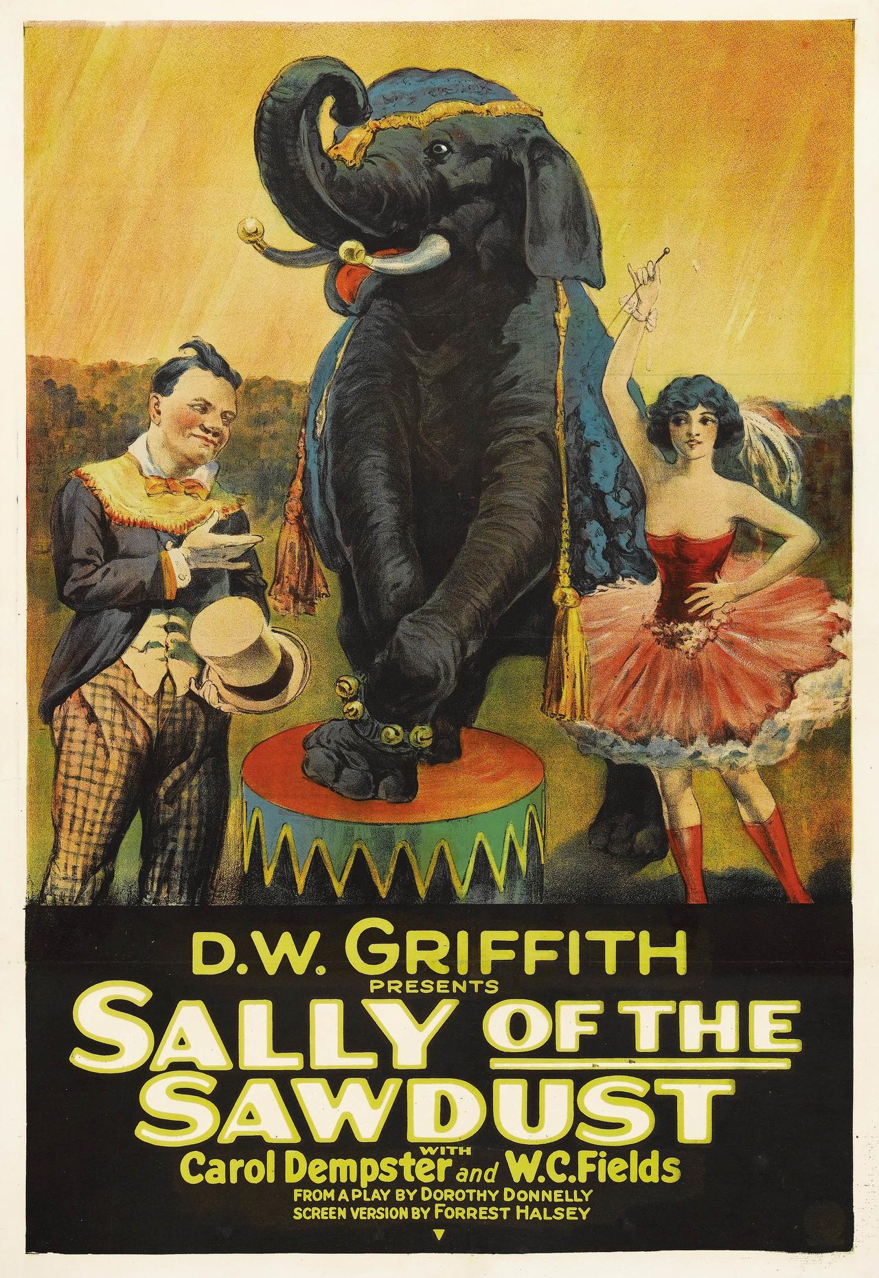 Sally of the Sawdust海报