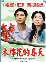 木棉花的春天海报