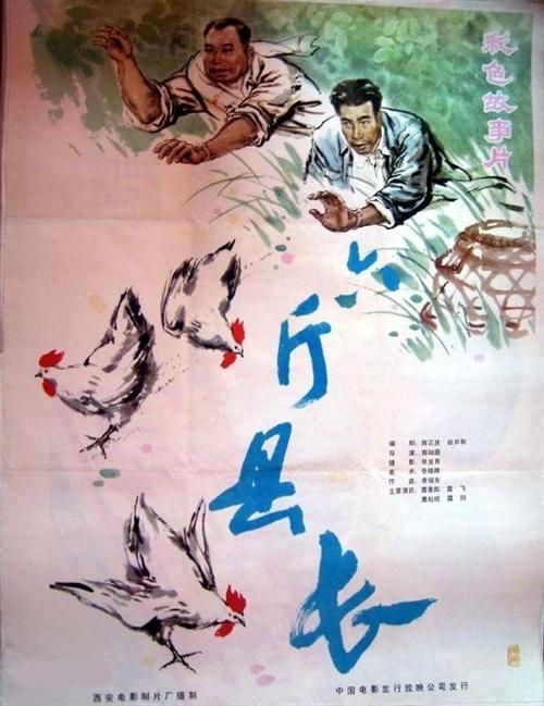 六斤县长海报
