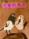 怕羞的黄莺海报