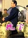 瑰宝海报
