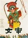 女审海报
