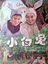 小白兔海报