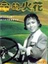 生命的火花海报