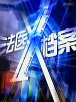 法医X档案海报