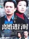 离婚进行时海报