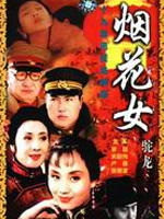 烟花女驼龙海报