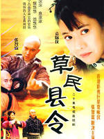 草民县令海报