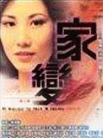 家变海报