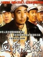 血战万源海报