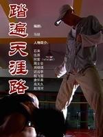 踏遍天涯路海报