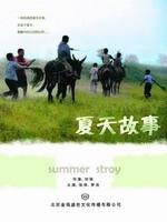 夏天故事海报